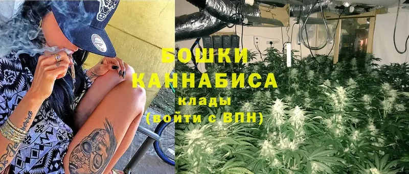 Конопля THC 21%  где продают наркотики  Гвардейск 